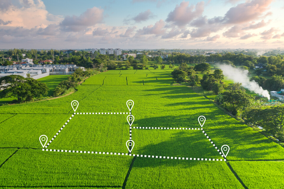 Land Plot Image