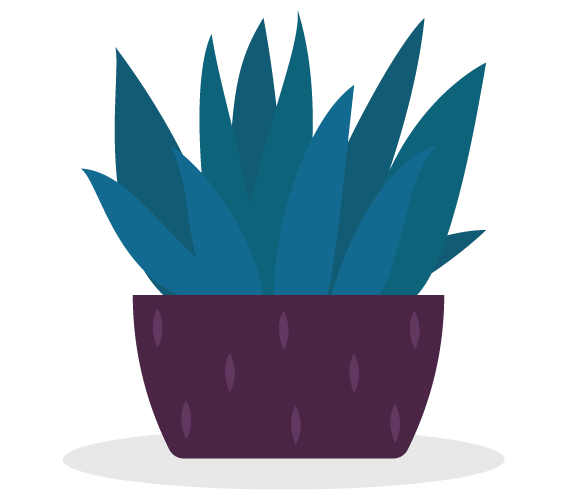 plant 2